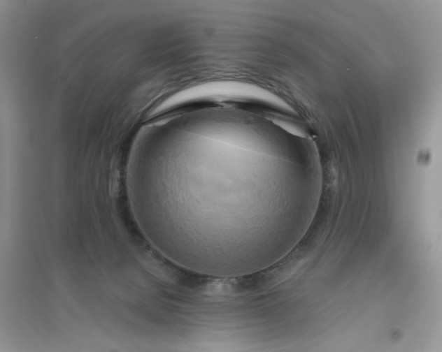 X0000096400080200802071610