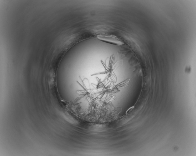 X0000096400081200802071610