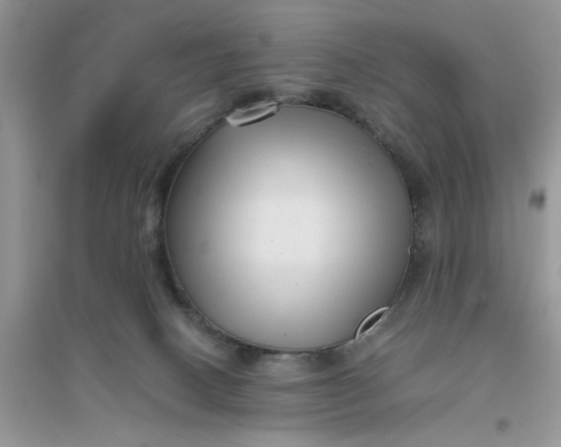 X0000096400082200802071610