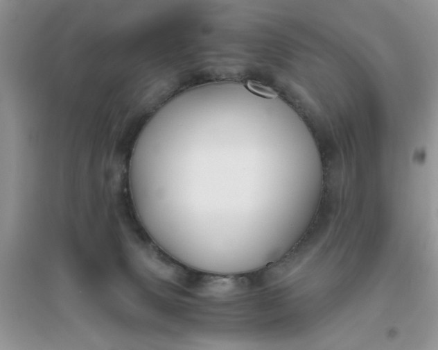 X0000096400083200802071610