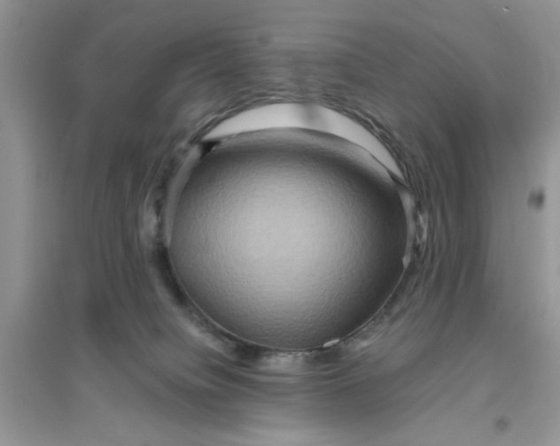 X0000096400084200802071610