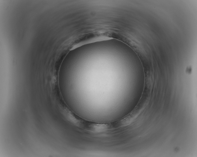 X0000096400085200802071610