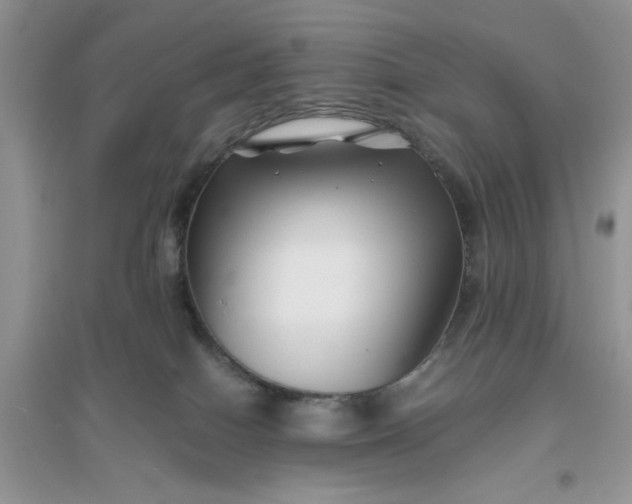 X0000096400086200802071610