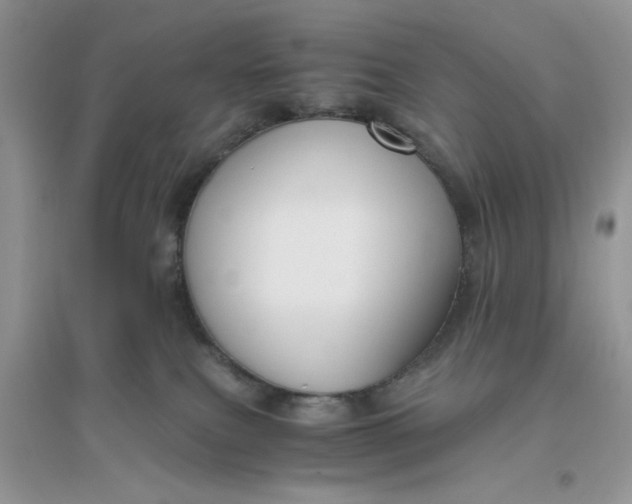 X0000096400087200802071610