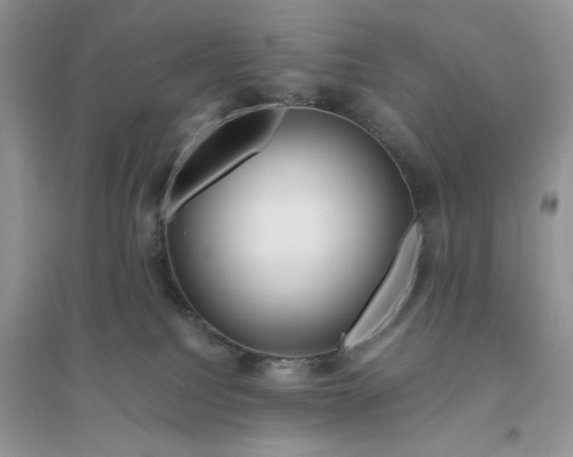 X0000096400088200802071610