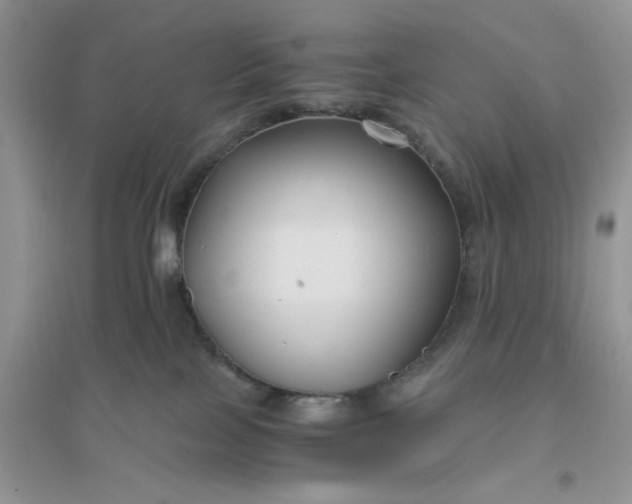 X0000096400089200802071610