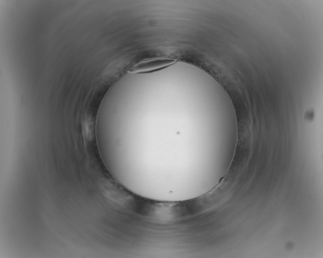 X0000096400090200802071610