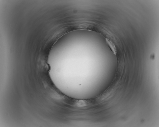 X0000096400091200802071610