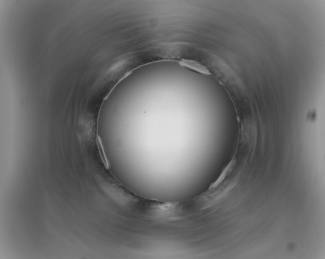 X0000096400092200802071610