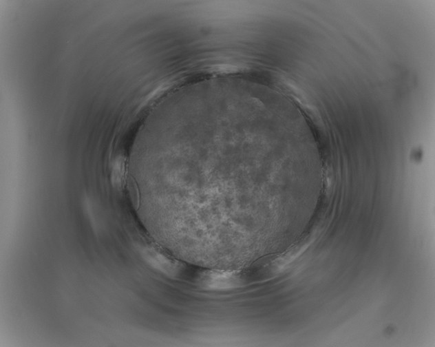 X0000096400093200802071610