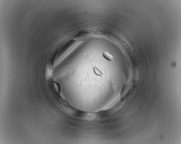 X0000096400095200802071610