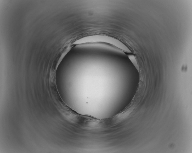 X0000096400096200802071610