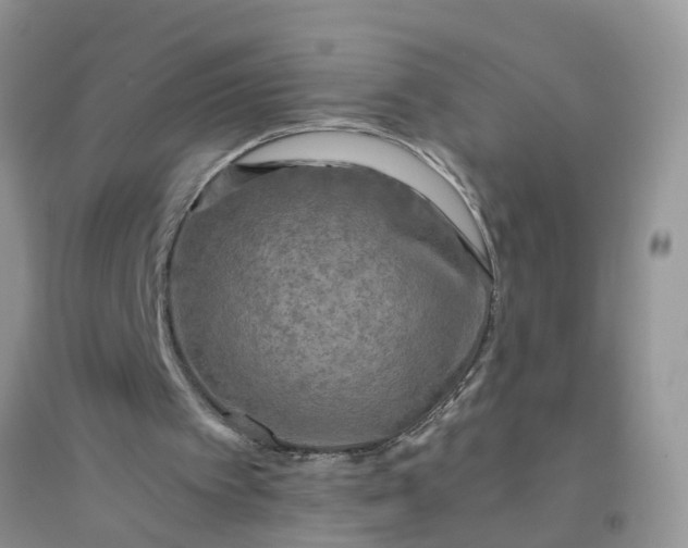 X0000096400097200802071610