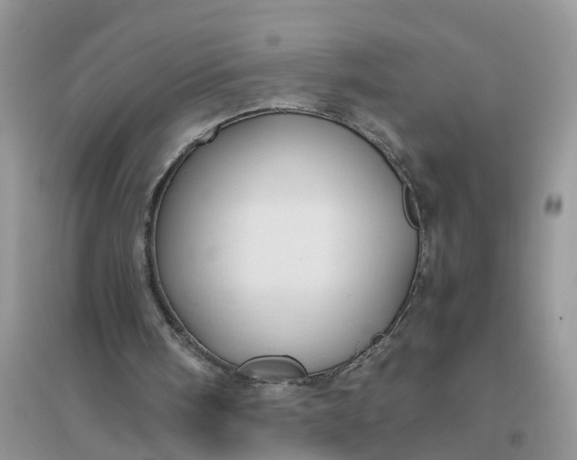 X0000096400098200802071610