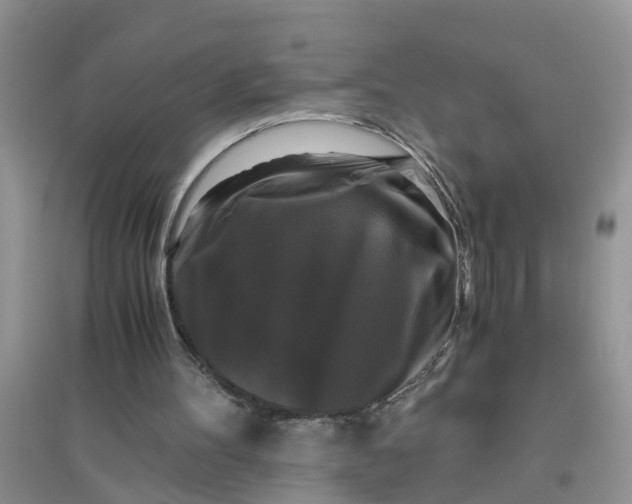 X0000096400100200802071610