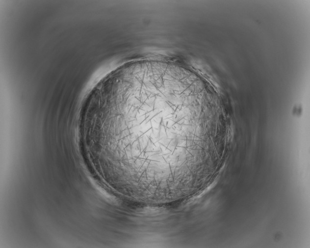 X0000096400101200802071610