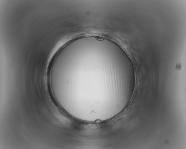 X0000096400102200802071609