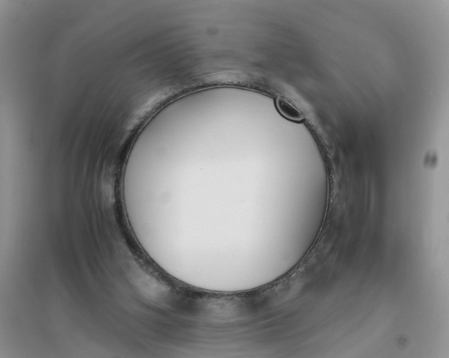 X0000096400106200802071609