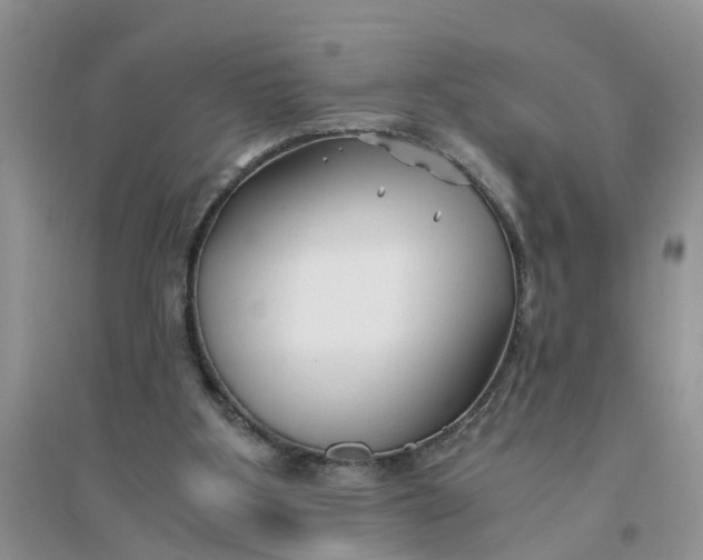 X0000096400107200802071609