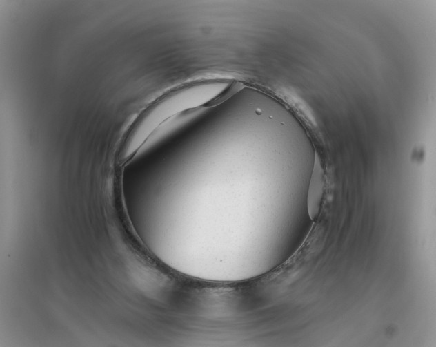 X0000096400108200802071609