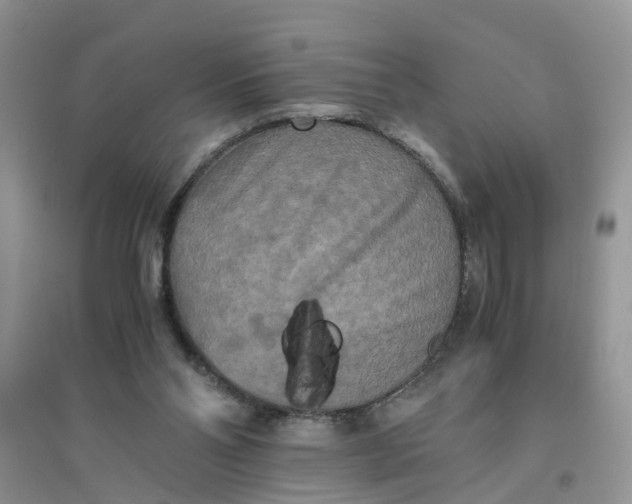 X0000096400110200802071609