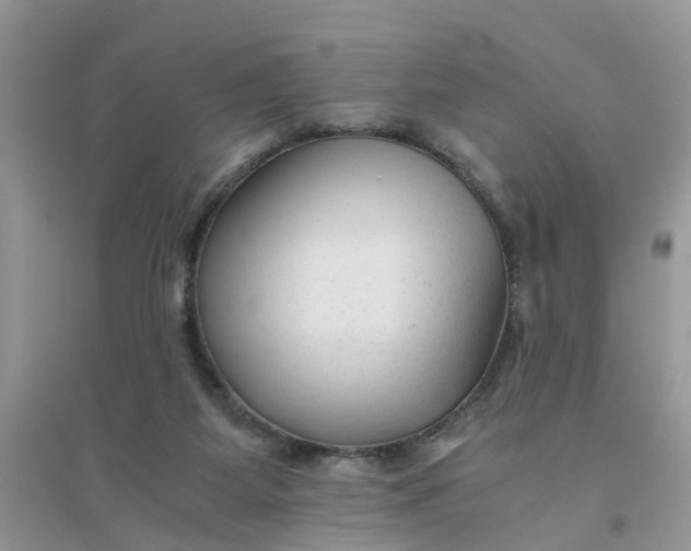 X0000096400115200802071609