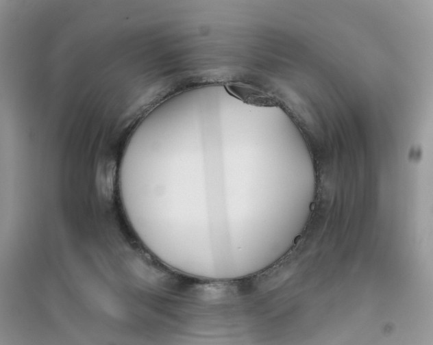 X0000096400118200802071609