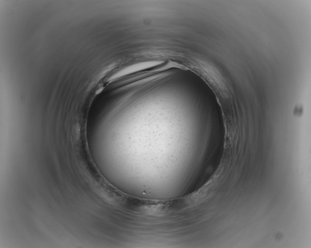 X0000096400120200802071609