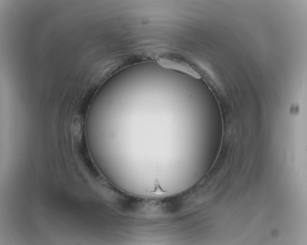 X0000096400121200802071609