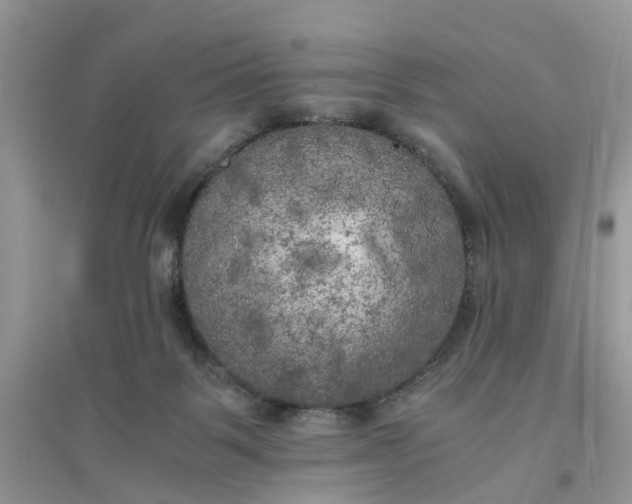 X0000096400123200802071609