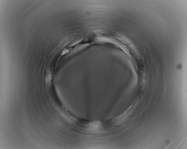 X0000096400124200802071609