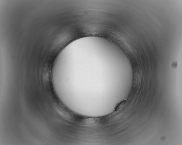 X0000096400126200802071609