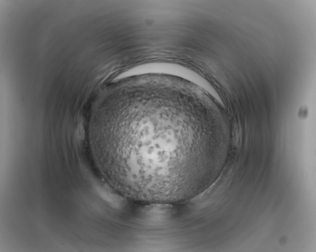 X0000096400128200802071609