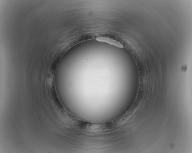 X0000096400129200802071609