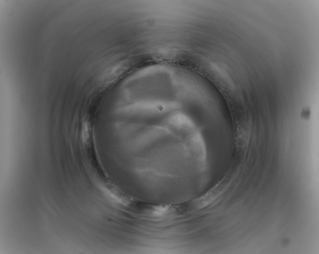 X0000096400130200802071609