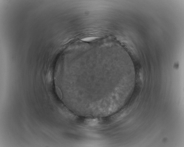 X0000096400131200802071609