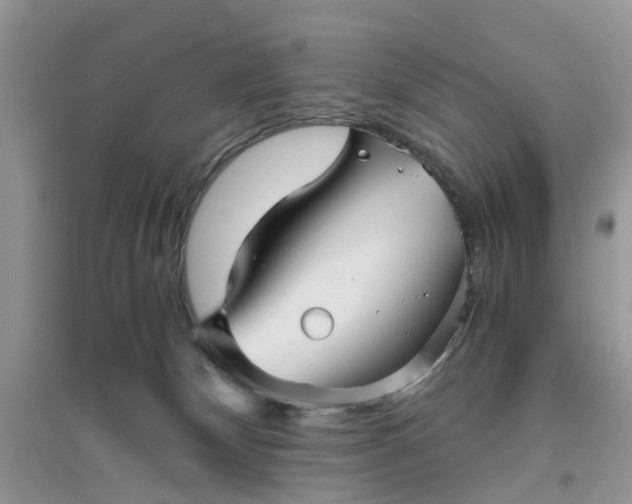 X0000096400132200802071609