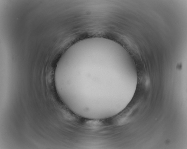 X0000096400133200802071609