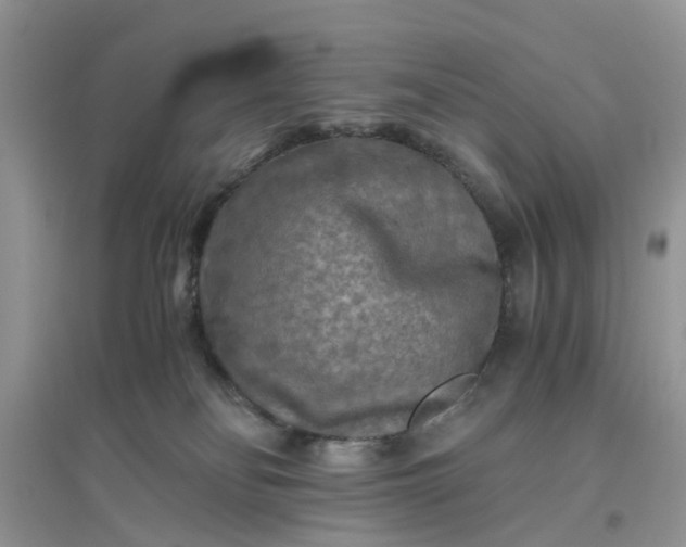 X0000096400134200802071609