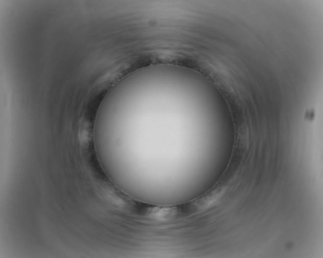 X0000096400135200802071609