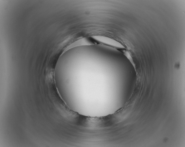 X0000096400141200802071609