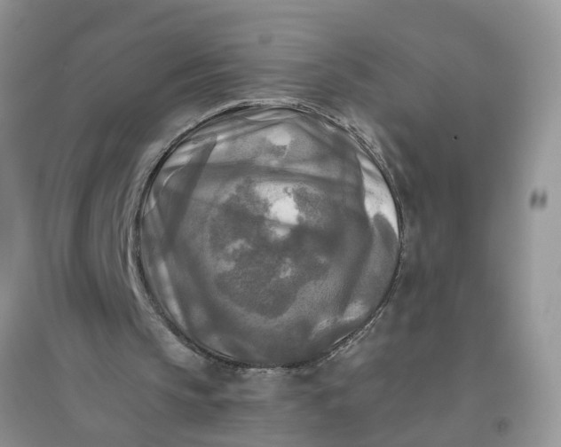 X0000096400145200802071608