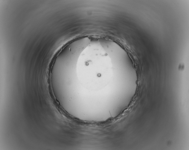 X0000096400146200802071608