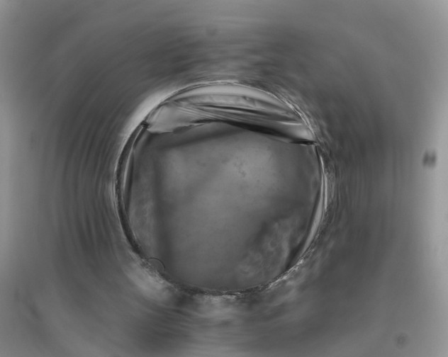 X0000096400147200802071608