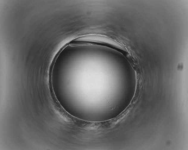 X0000096400148200802071608