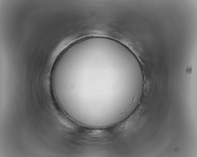 X0000096400151200802071608