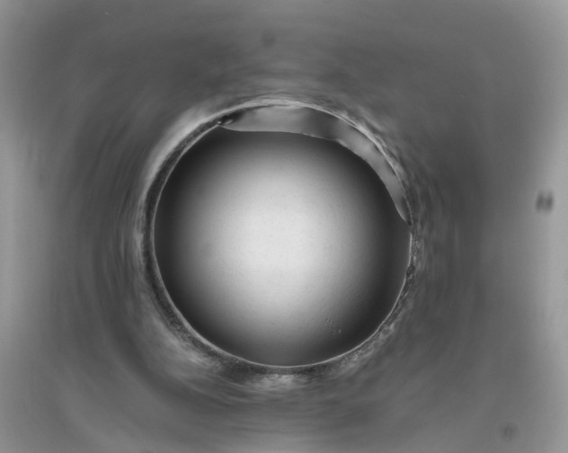 X0000096400152200802071608