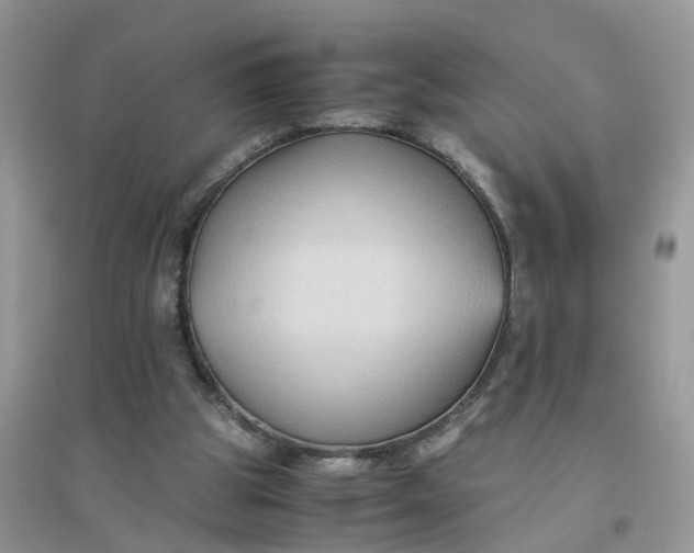 X0000096400153200802071608