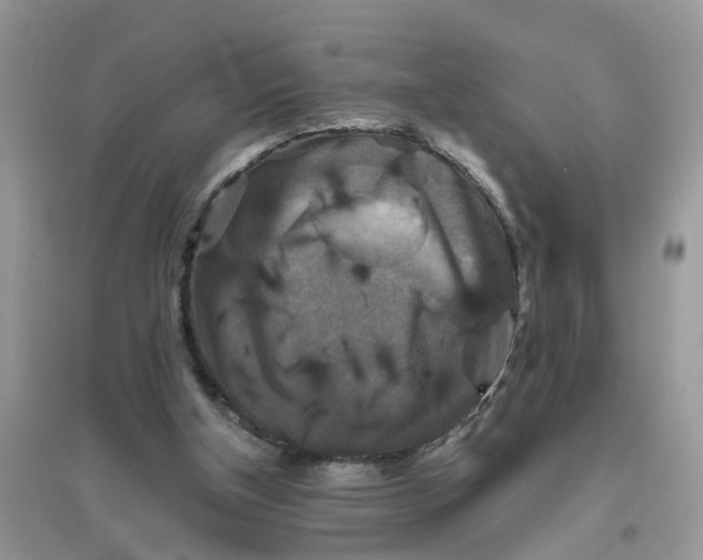 X0000096400154200802071608