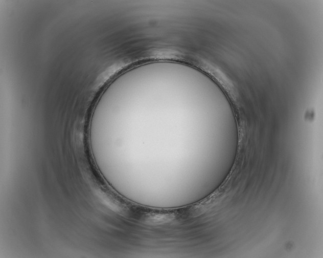 X0000096400155200802071608